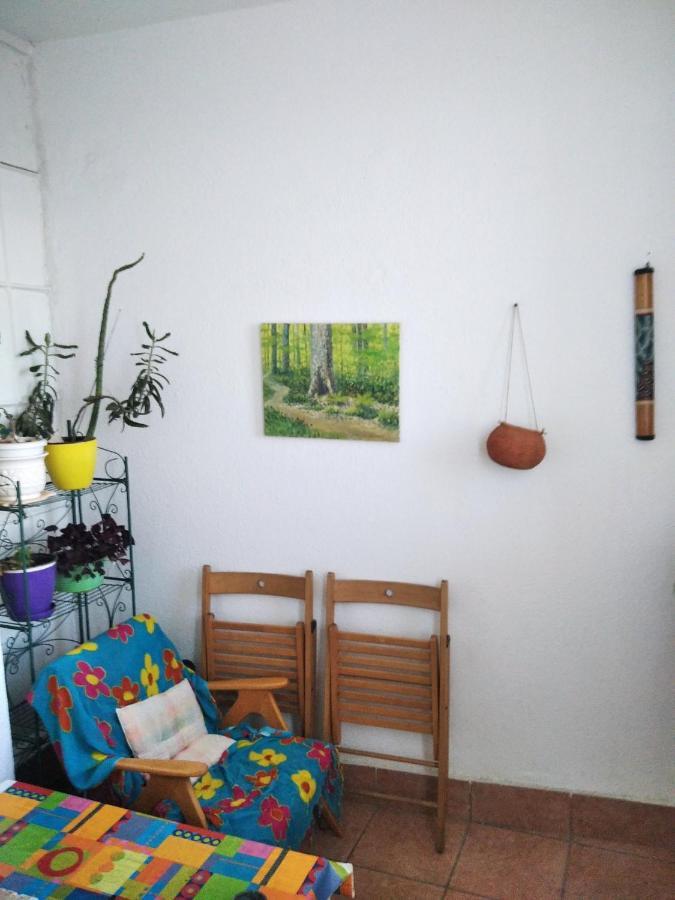 Viva Apartment سكوبجي المظهر الخارجي الصورة